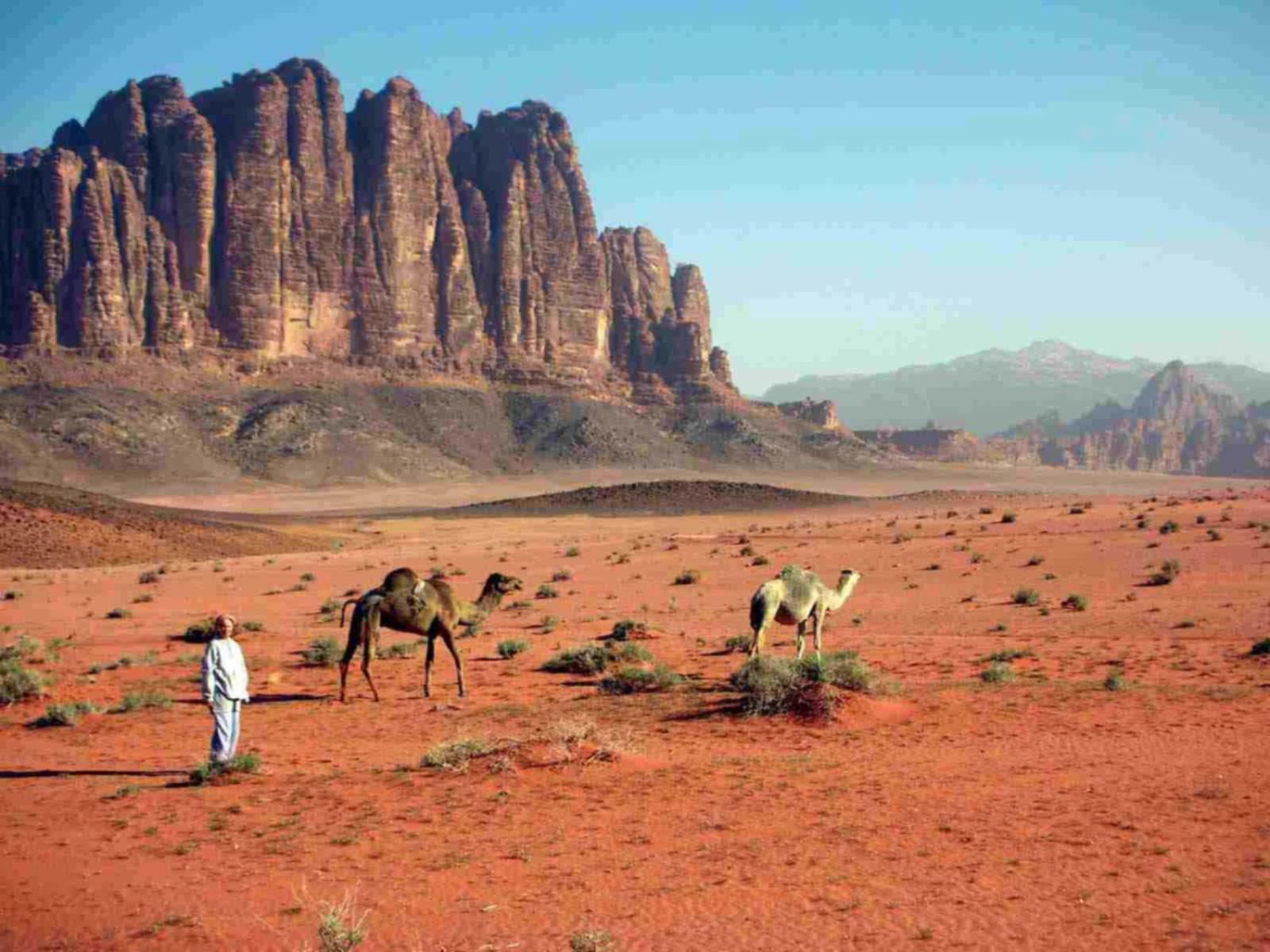 Wadi Rum Caeser Camp Hotel Ngoại thất bức ảnh
