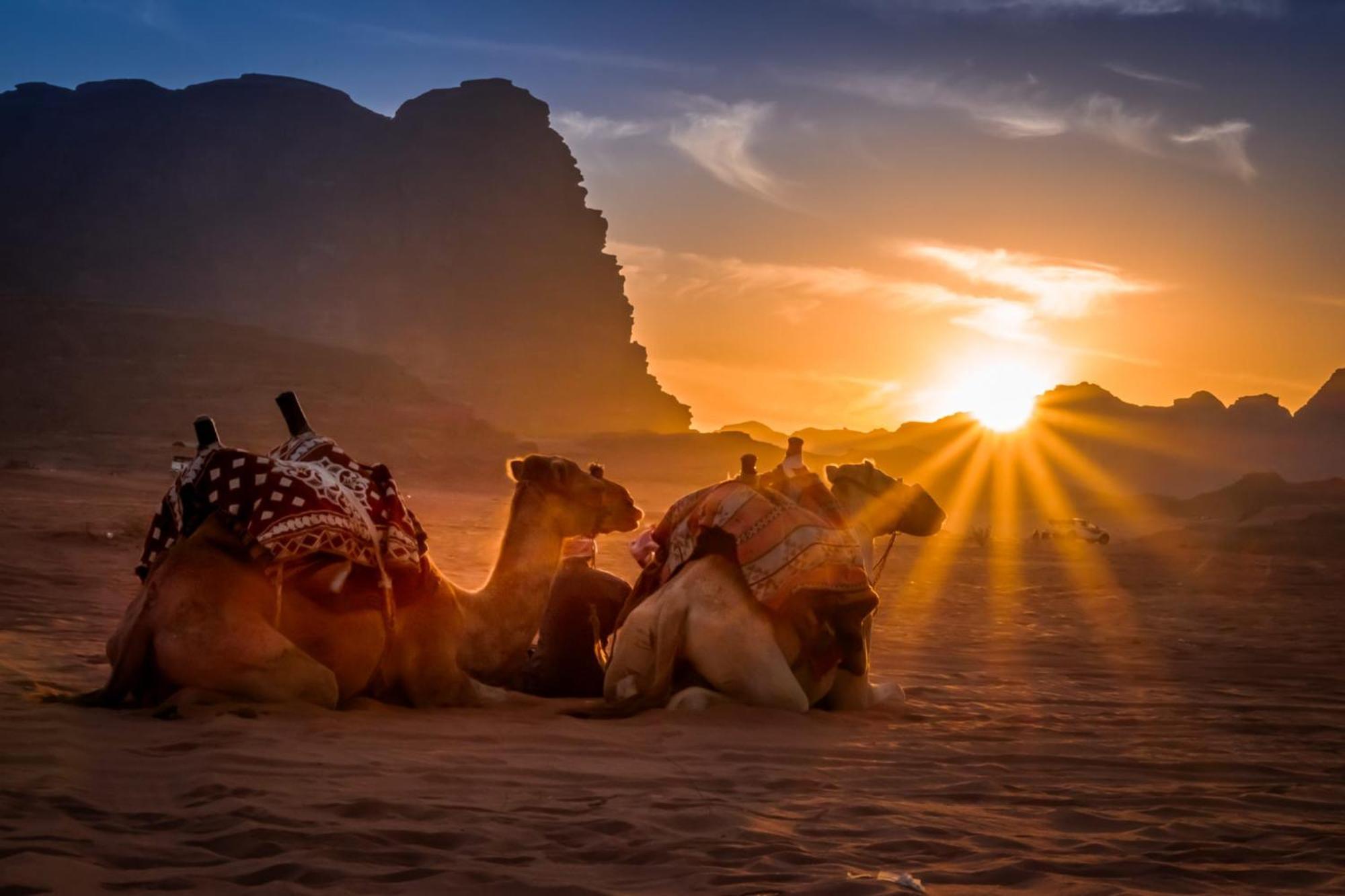 Wadi Rum Caeser Camp Hotel Ngoại thất bức ảnh